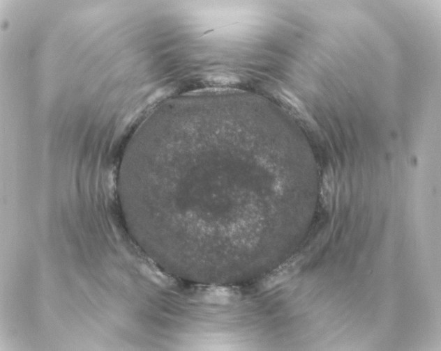 X0000088880330200706221821