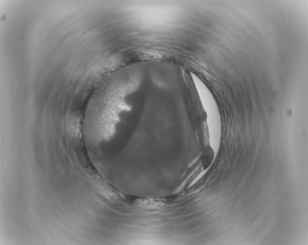 X0000088880331200706221821