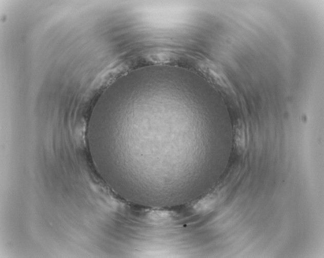 X0000088880332200706221821