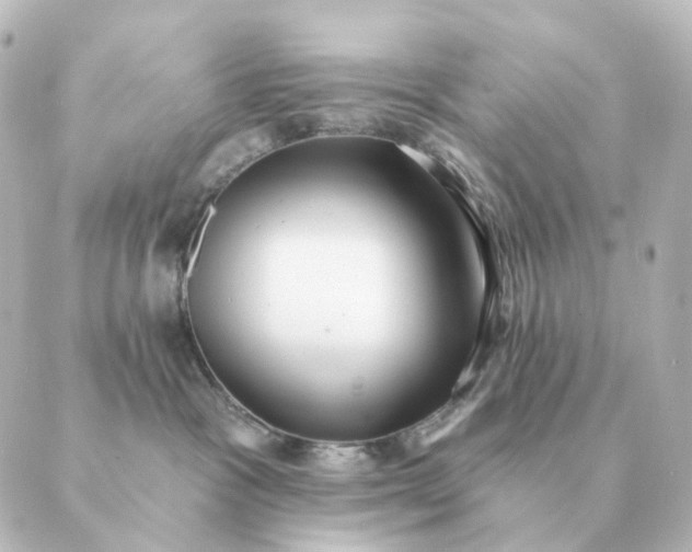 X0000088880333200706221821