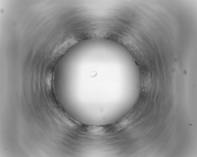 X0000088880334200706221821