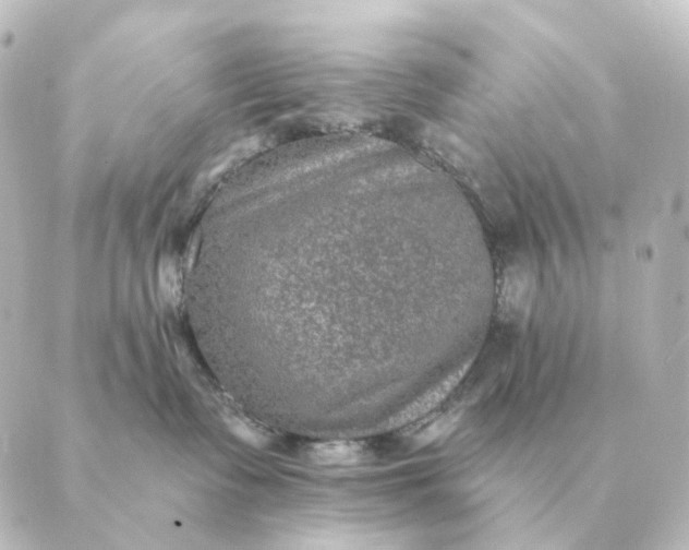 X0000088880335200706221821