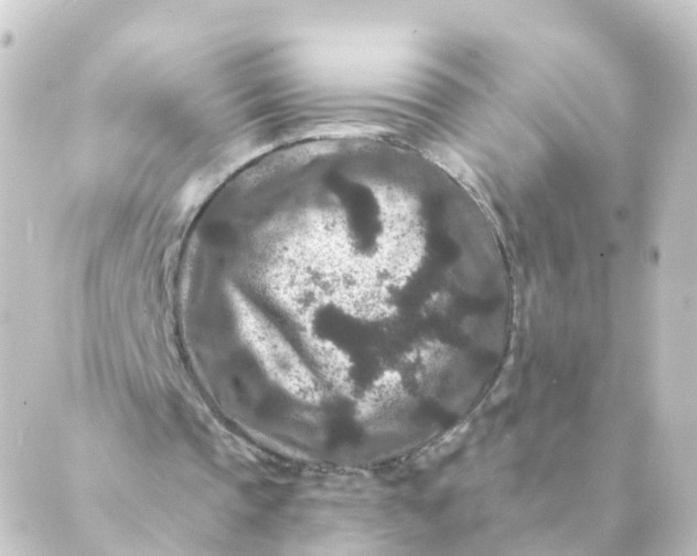 X0000088880337200706221820