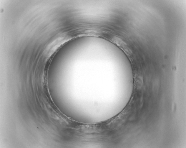 X0000088880338200706221820