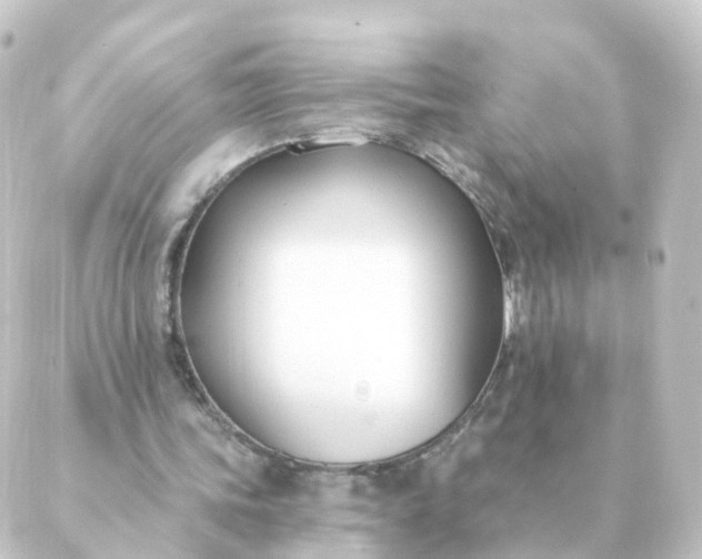 X0000088880339200706221820