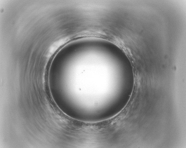 X0000088880340200706221820