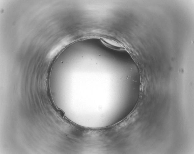 X0000088880341200706221820