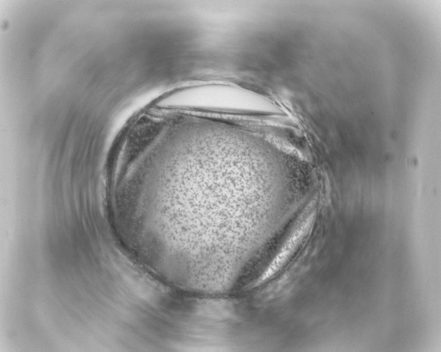 X0000088880342200706221820