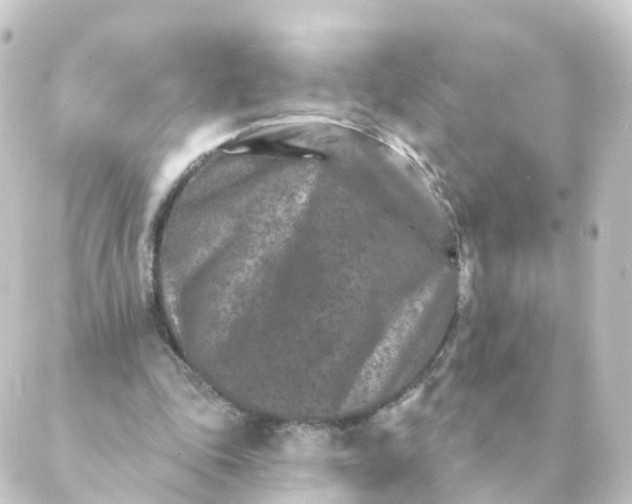 X0000088880343200706221820