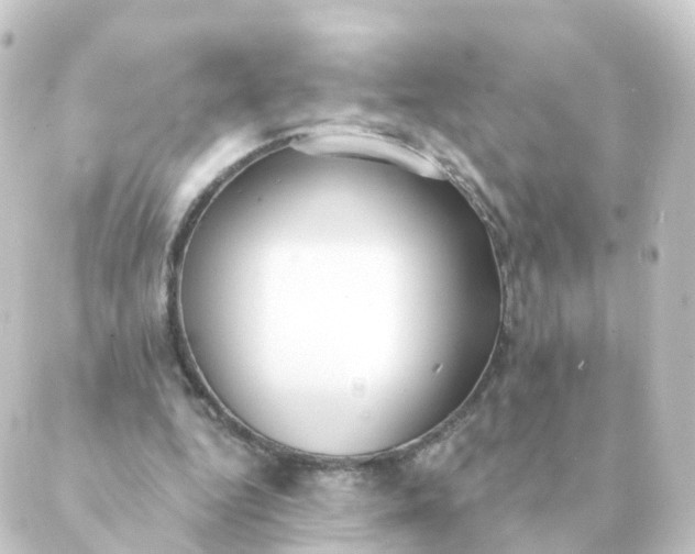 X0000088880344200706221820