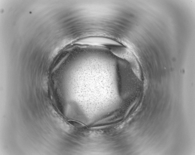 X0000088880345200706221820