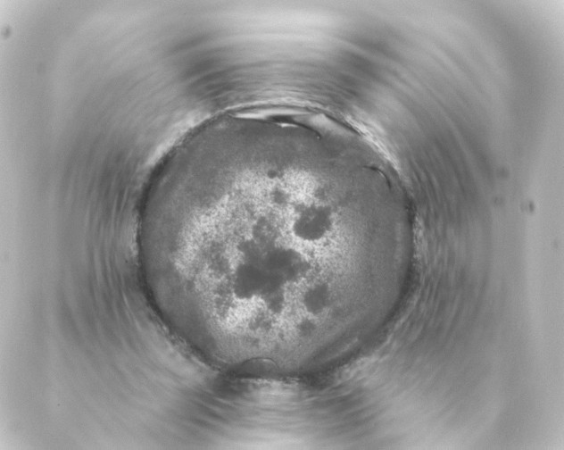 X0000088880347200706221820