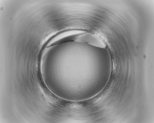 X0000088880348200706221820