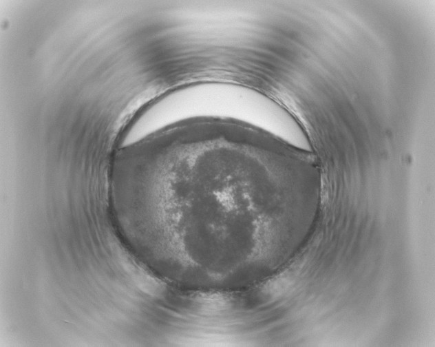 X0000088880349200706221820