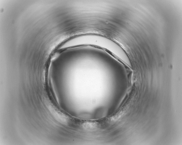 X0000088880350200706221820