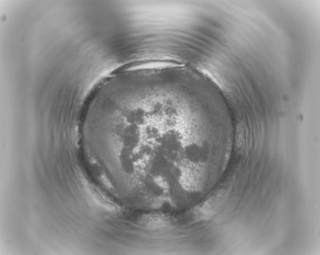 X0000088880351200706221820