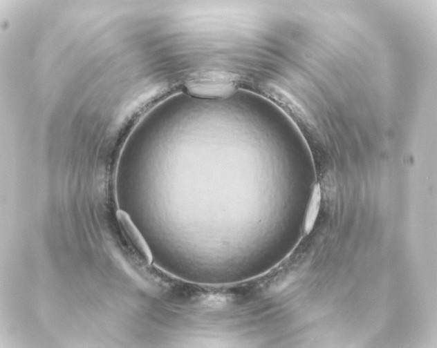 X0000088880352200706221820