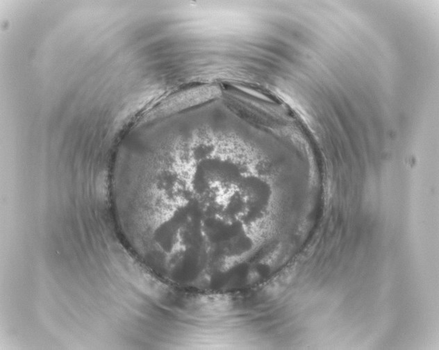 X0000088880353200706221820