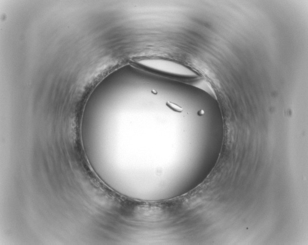 X0000088880354200706221820