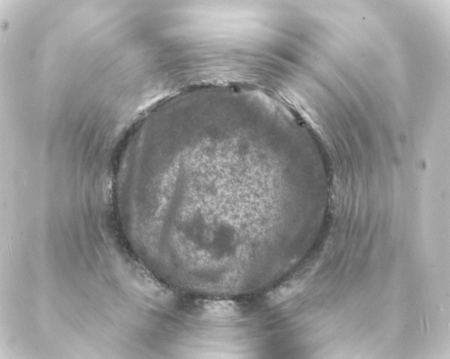 X0000088880355200706221820