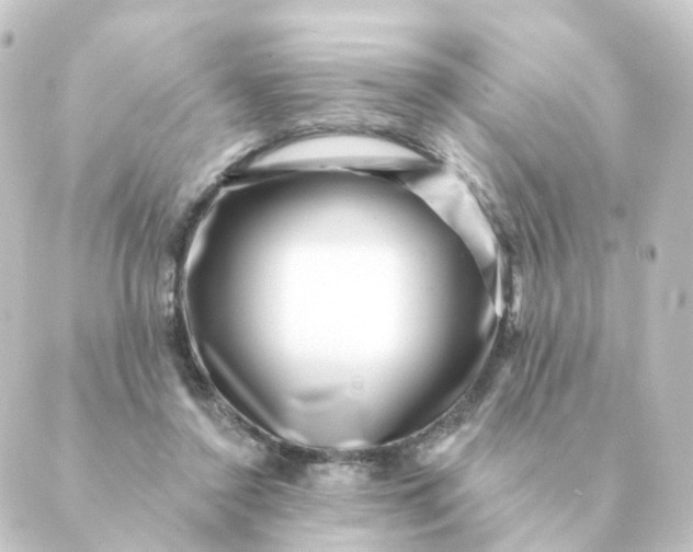 X0000088880356200706221820