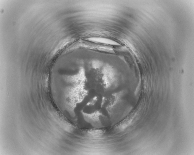 X0000088880357200706221820