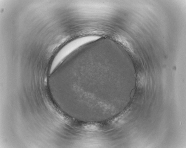 X0000088880358200706221820