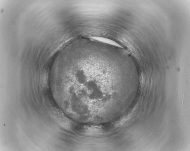 X0000088880359200706221820