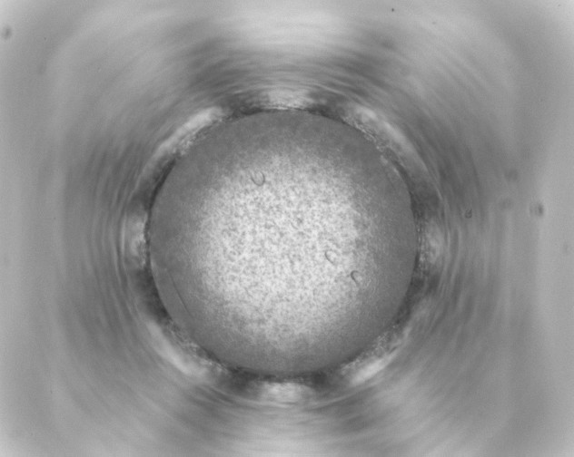 X0000088880360200706221820