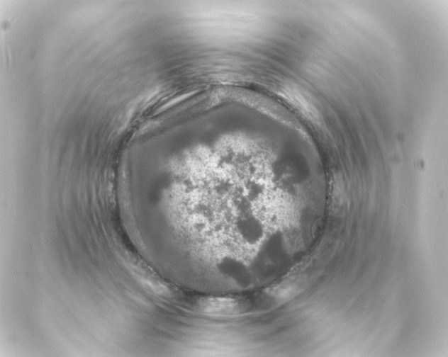 X0000088880361200706221820