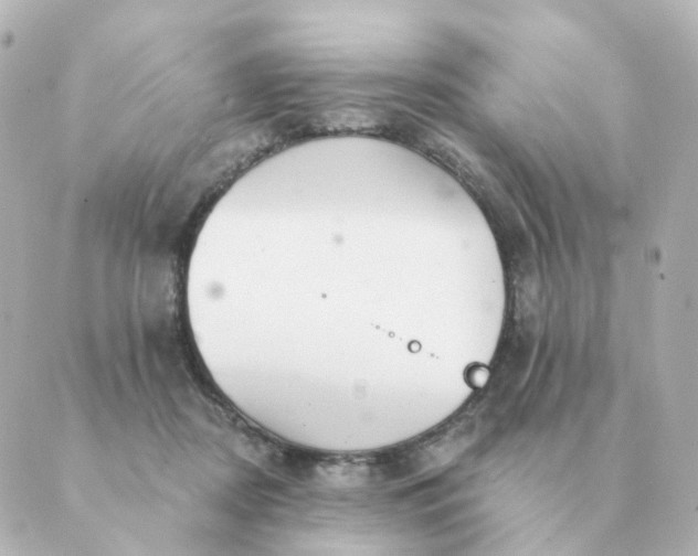 X0000088880362200706221820