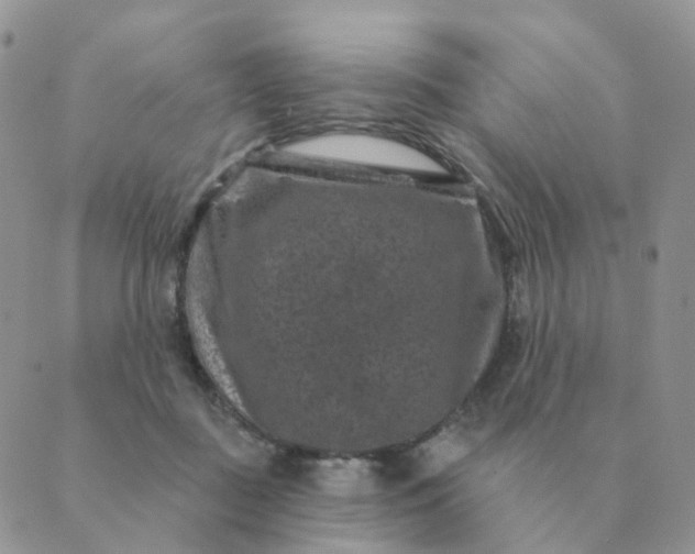 X0000088880363200706221820