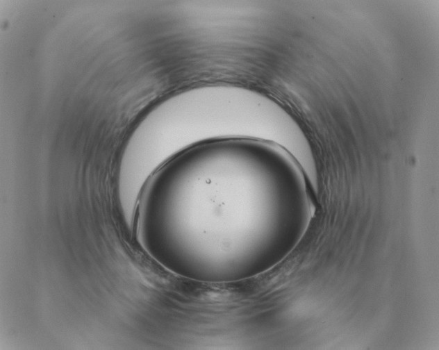 X0000088880364200706221820