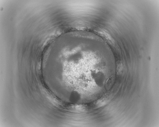 X0000088880365200706221820