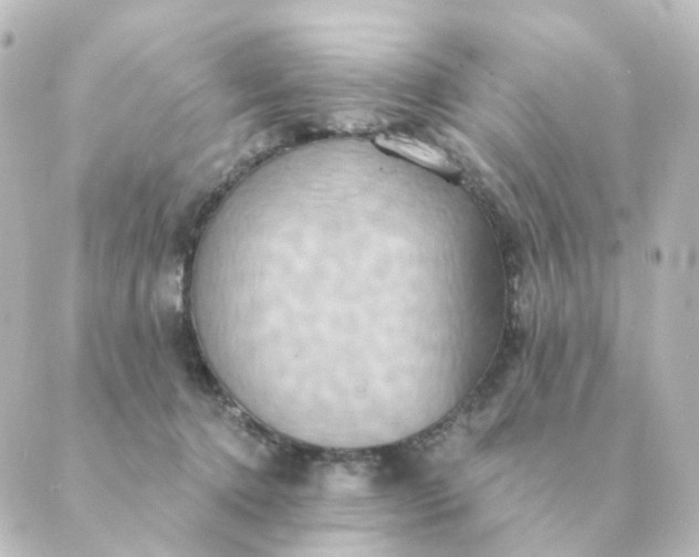 X0000088880368200706221820