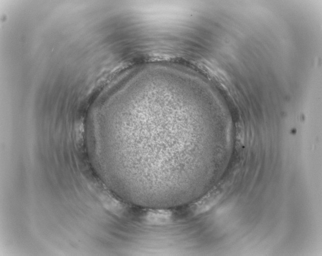 X0000088880369200706221820