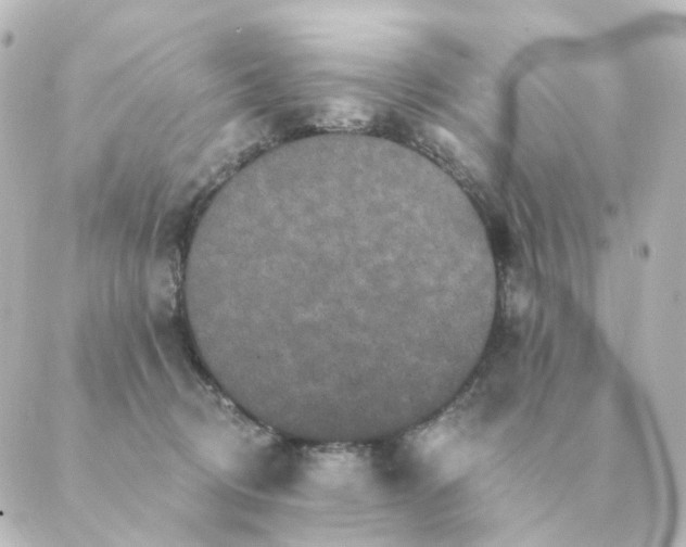 X0000088880370200706221820