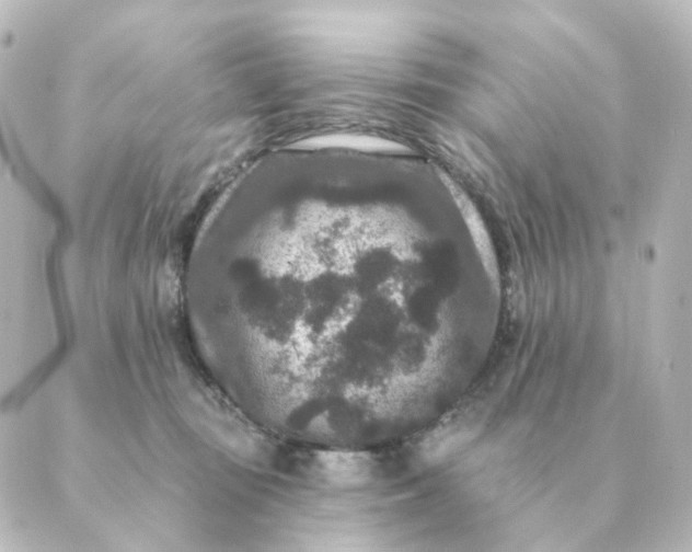 X0000088880371200706221820