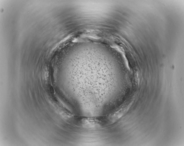 X0000088880372200706221820