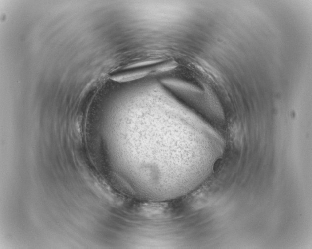 X0000088880373200706221820