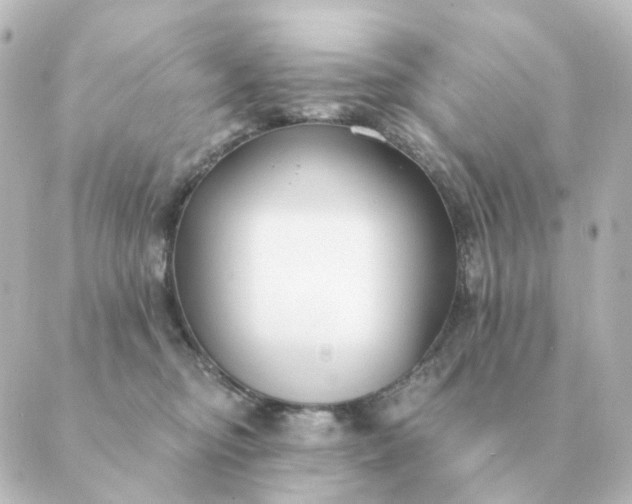 X0000088880374200706221820