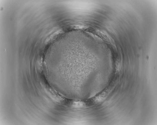 X0000088880376200706221820