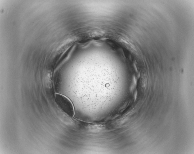 X0000088880378200706221820