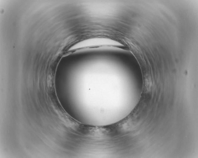 X0000088880379200706221820