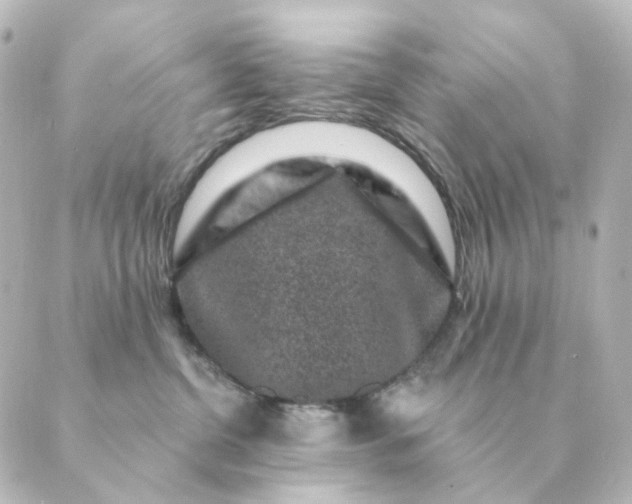 X0000088880380200706221820