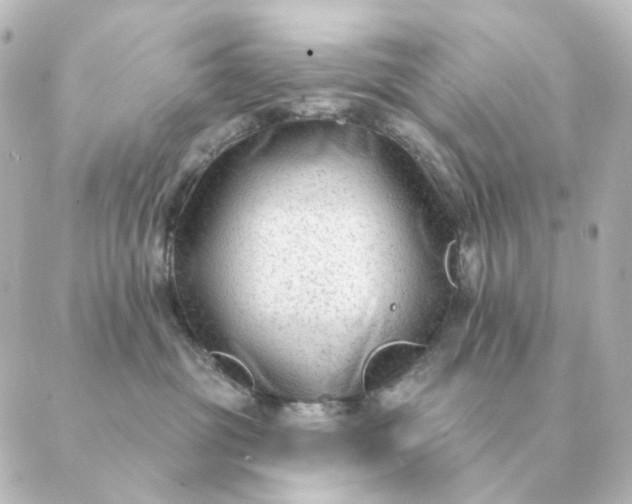 X0000088880381200706221820