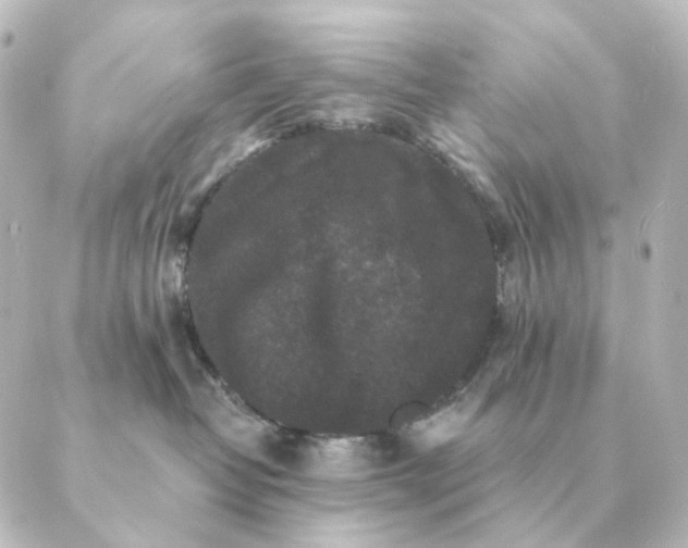 X0000088880382200706221820