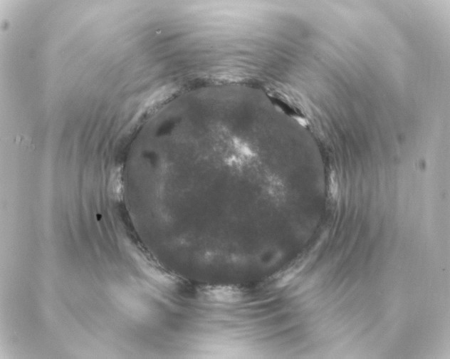 X0000088880383200706221821