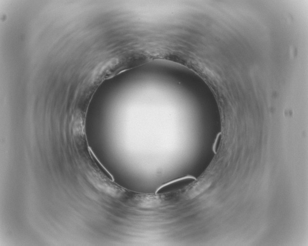 X0000088880384200706221821