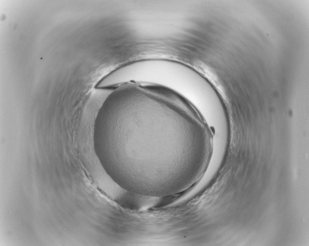 X0000088880385200706221820